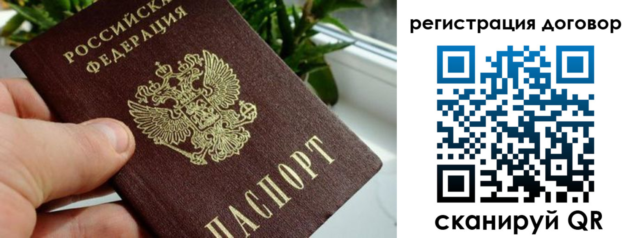 прописка ребенка в Болотном